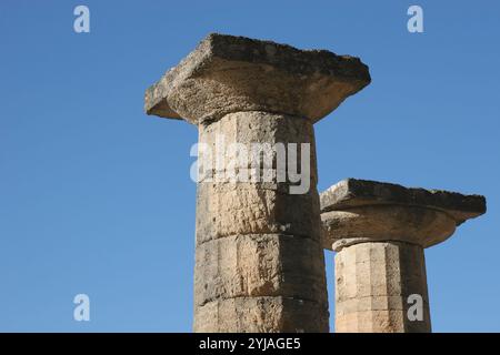 Greece. Olympia. Temple of Hera or Heraion. 4th century BC. Restored ruins. Detail doric columns. Stock Photo