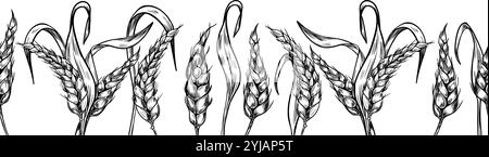 Wheat ear on stem black white graphic vector seamless border isolated. Spikelet rye, barley stalks monochrome hand drawn by ink repeated texture for Stock Vector