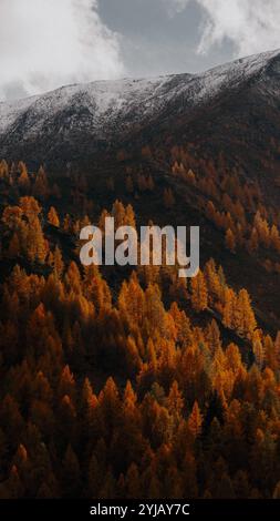 Beautiful telephoto view of stunning mountain scenery in the Alps with golden larches and snowy mountains at sunset in fall Stock Photo