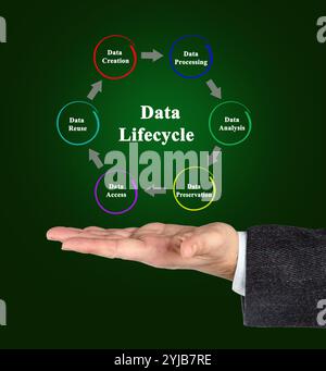 Stages of Data Life cycle Stock Photo - Alamy