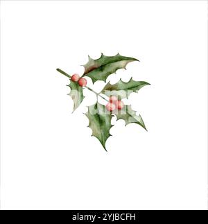 New Years Christmas hand drawn holly branch with red berries. Watercolor illustration for decorating and designing invitations, cards, banners, wrappi Stock Vector
