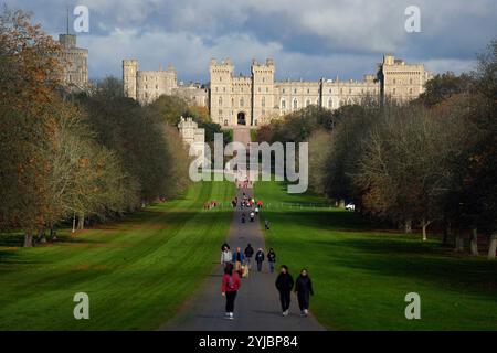 People walk along the Long Walk in Windsor, Berkshire. Picture date: Thursday November 14, 2024. Stock Photo