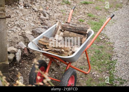 Construction trolley with logs in the garden. Horticulture and gardening concept. Ecology theme. Firewood for bath. Stock Photo