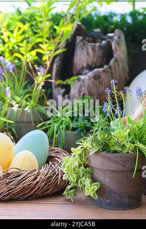 Easter Decor with Colorful Eggs and Spring Plants Stock Photo