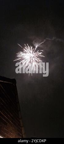 Exploding Firework in the Night Sky Stock Photo