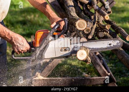 Close-up of a chainsaw in the hands of a lumberjack while cutting firewood. Stock Photo
