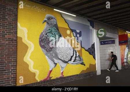 Ring dove, mural in a subway, by street artist Anne Lilly, urban art in the Oberbillk district, Duesseldorf, North Rhine-Westphalia, Germany, Europe Stock Photo