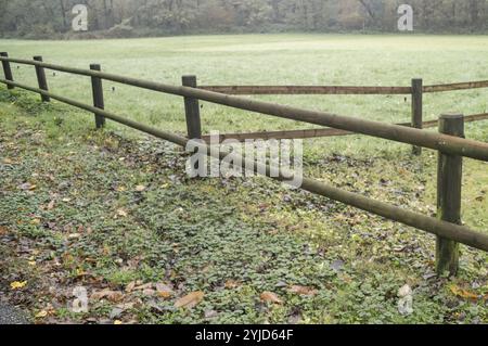 Wooden fence separating grassy field from pathway covered with fallen leaves in autumn Stock Photo