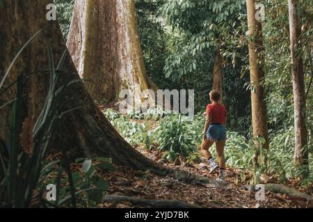 Beautiful young girl in the tropical rainforest next to giant trees in Rainforest Conservation Center in Sandakan Borneo Sabah Malaysia Stock Photo