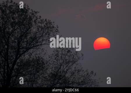 Srinagar, India. 14th Nov, 2024. A view of sunset at a Mughal garden during an autumn season in Srinagar, the capital city of the Himalayan region of Kashmir. (Photo by Faisal Bashir/SOPA Images/Sipa USA) Credit: Sipa USA/Alamy Live News Stock Photo