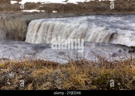 Dry grass, plants and shrubs growing at the edge of the cliff with Dettifoss waterfall in the background, Vatnajokull National Park in Northeast Icela Stock Photo