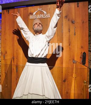 Mevlevi Whirling Dervish dance performance - Mevlevi Sema - costume ceremony ...