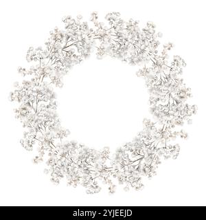 Watercolor gypsophila Floral Wreath. Drawing of botanical round Frame with small floret on isolated background for greeting cards or invitations. Stock Photo