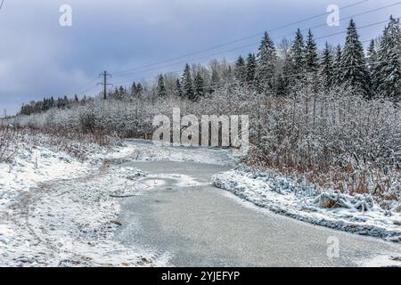 Rural road with frozen puddles on the edge of the forest Stock Photo