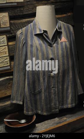 Second World War (1939-1945). Stutthof Nazi concentration camp (Sztutowo, Poland), the first concentration camp built by the Nazi regime outside Germany. Personal belongings of prisoner K. Vike: a jacket and a spoon. The jacket was sewn with a red, non-inverted triangle made of cloth. This badge signified that the prisoner was a military prisoner. Latvian War Museum. Riga. Latvia. Stock Photo