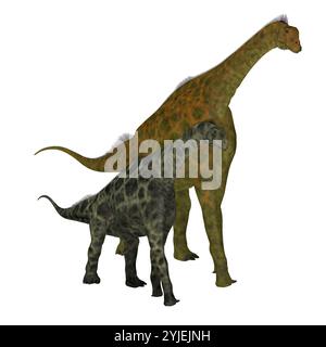 Atlasaurus was a herbivorous sauropod dinosaur that lived in Morocco ...