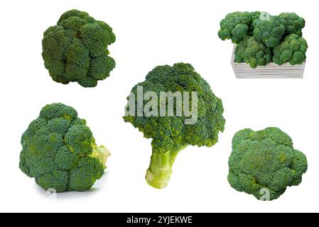 Fresh tasty broccoli isolated on white background. Stock Photo