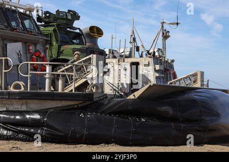 U.S. Navy Petty Officer 2nd Class Jack Erickson, a loadmaster with Assault Craft Unit 5 lowers the ramp of a Landing Craft Air Cushion during Quarterly Underway Amphibious Readiness Training on Marine Corps Base Camp Pendleton, California, Oct. 30, 2024. QUART is a joint training exercise designed to develop and sustain essential amphibious skills for effective operations in maritime environments while reinforcing the Navy-Marine Corps partnership. (U.S. Marine Corps photo by Lance Cpl. Christian McGinnis) Stock Photo