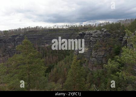 Felsen in der Böhmischen Schweiz Stock Photo - Alamy