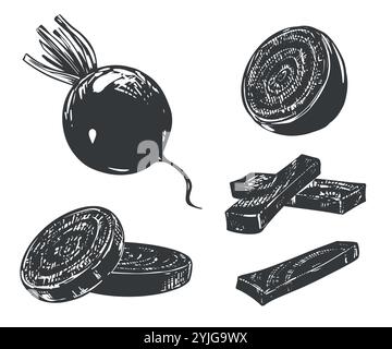 Beetroot big set. Line sketch of whole vegetable, piece, half and slices. Vector drawing of root vegetable in engraving style. Vegetable rich in iron and vitamins, black ink illustration. Stock Vector