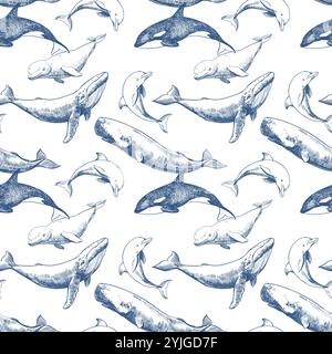 Seamless pattern with marine mammals. Hand drawn vector sketch in engraving technique. Sperm whale, humpback whale, dolphin, beluga whale, killer whale. Monochrome ink drawing. Stock Vector