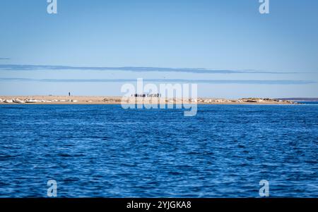 visiting a colony with walruses at Torellneset on Nordaustlandet on Svalbard, Norway Stock Photo