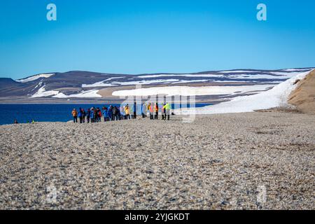 visiting a colony with walruses at Torellneset on Nordaustlandet on Svalbard, Norway Stock Photo