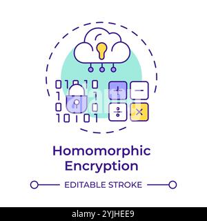 Homomorphic encryption multi color concept icon Stock Vector