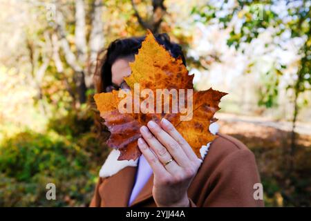 Brunette Woman in Fall Coat Holds Large Norway Maple Leaf Stock Photo