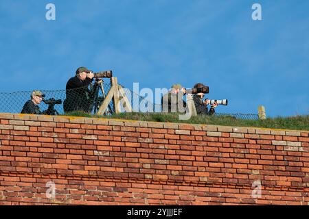 group of photographers and twitchers at splash point Seaford photographing a rare vagrant pied wheatear bird using long lenses and scopes to view bird Stock Photo