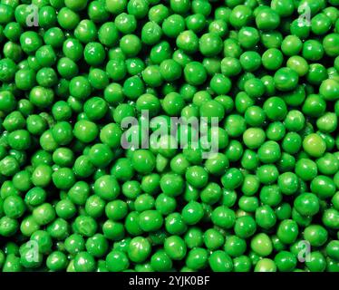 Still life. Food. Vegetables. Cooked Fresh Garden Peas. Stock Photo