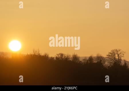 Misty orange sunset behind trees in winter Stock Photo