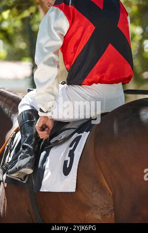 Race horse and jockey. Purebred in the hippodrome. Derby Stock Photo