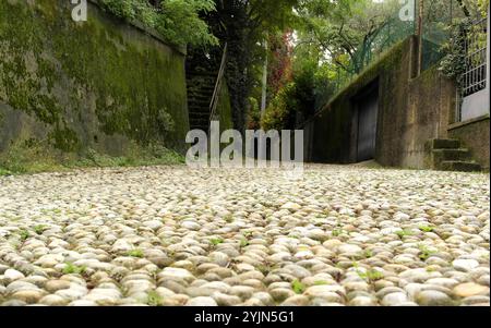 Perspective view of an environment with stone flooring Stock Photo