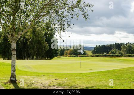 Golf Green at Strathmore Golf Course near  Alyth, Perth and Kinross, Scotland Stock Photo