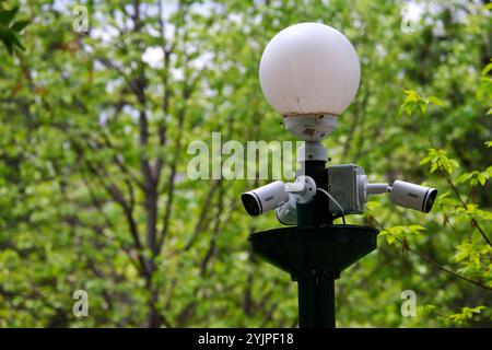Security cams within the trees mounted on a lamp Stock Photo