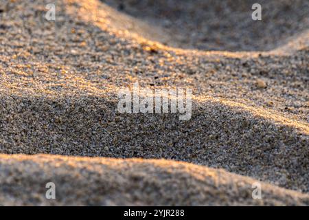 Closeup of beach sand in sunset light Stock Photo