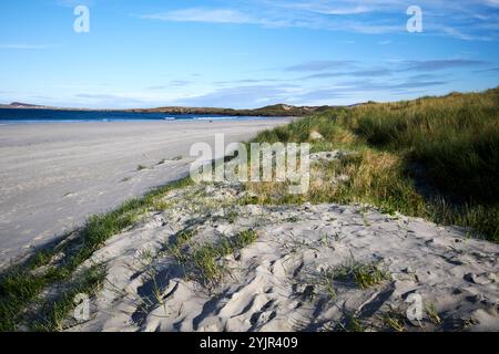 sand dunes at carickfinn beach carrickfinn, county donegal, republic of ireland Stock Photo