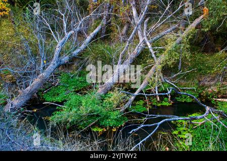 Riaza River. Hoces del Riaza Natural Park. Maderuelo. Segovia province. Castilla y Leon. Spain. Stock Photo