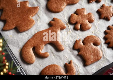 Freshly baked homemade gingerbread Christmas cookies brushed with egg for shine Stock Photo