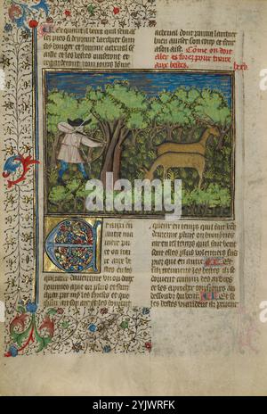 An Archer Shooting at Deer; Livre de la Chasse, about 1430-1440. Medieval book on hunting. Stock Photo