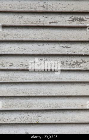 dirty white  wooden background.  striped  wooden wall pattern with peeling paint and moss Stock Photo
