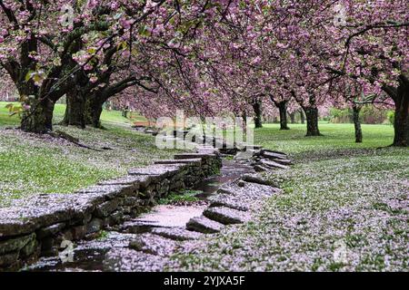 New Jersey New York Barns Bulidings art food planes Stock Photo