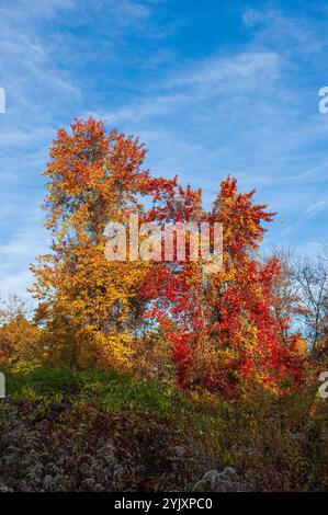 Autumn Landscapes in Massachusetts Stock Photo - Alamy