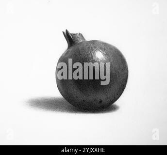 A hyper-realistic pencil drawing of a pomegranate, emphasizing textures, light, and shadow through chiaroscuro. Stock Photo