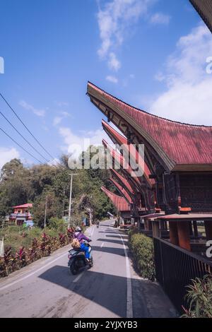 Rows of Toraja Tongkonan Traditional Houses on a street in the Tana Toraja area, October 3 2024, South Sulawesi Indonesia Stock Photo