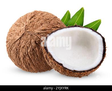 coconut isolated on white background. coconut clipping path Stock Photo
