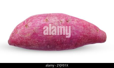 Sweet potato isolated on white background. potato clipping path Stock Photo