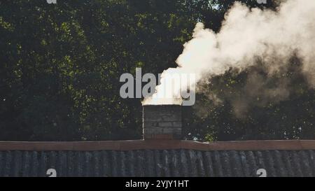 Sunny day with white smoke coming from brick chimney on slate roof, surrounded by trees in the background Stock Photo