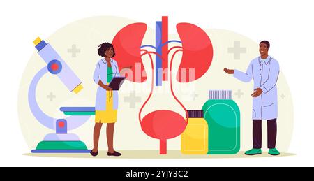Team of urologists. Man and woman in medical uniform examining kidneys. Doctors in laboratory examine internal organ. Diagnosis and treatment Stock Vector